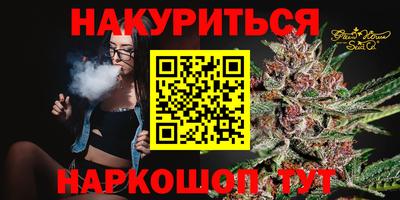 гашик Жуковский