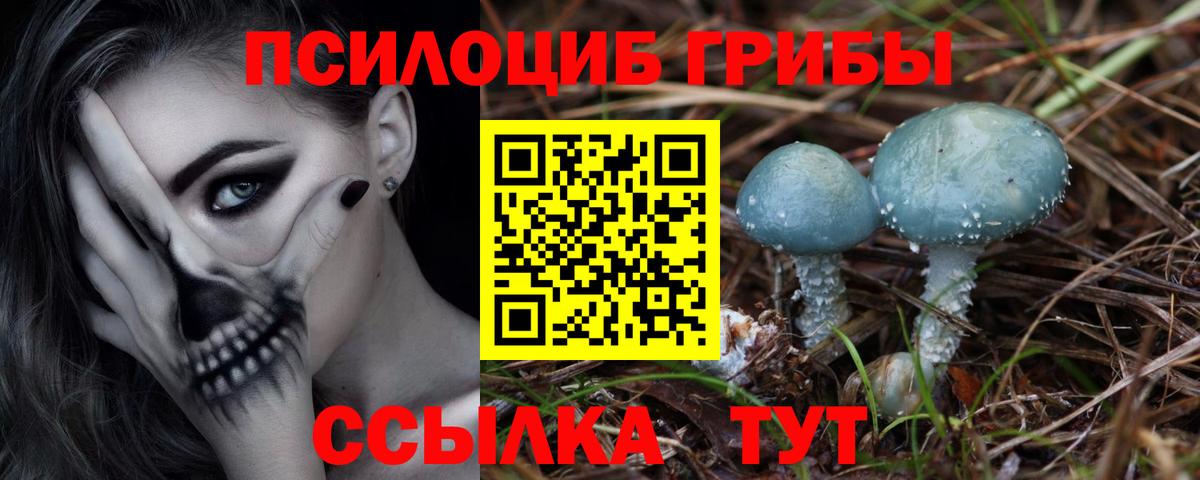 Галлюциногенные грибы мухоморы  Вход с VPN  что такое   Галлюциногенные грибы Psilocybine cubensis  Жигулёвск 